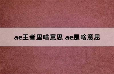 ae王者里啥意思 ae是啥意思